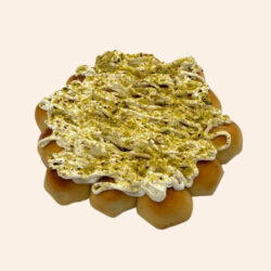 خليــــة صغيرة